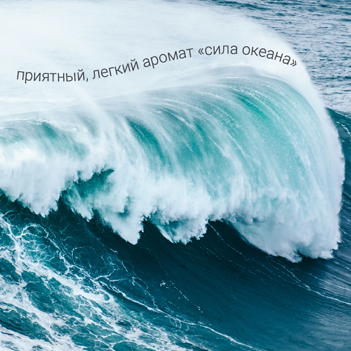 Гель для мытья пола Hausmann с антибактериальным эффектом 1л фото 5