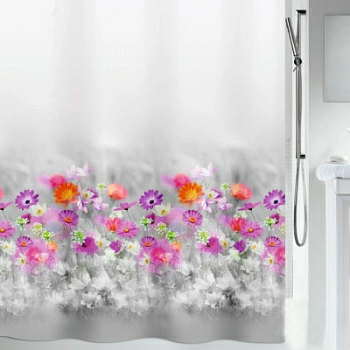 Полноразмерное изображение Полноразмерное изображение